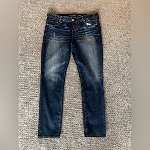 American Eagle size 16 skinny jean